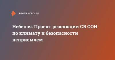 Василий Небензя - Небензя: Проект резолюции СБ ООН по климату и безопасности неприемлем - ren.tv - Россия - Ирландия - Нигер