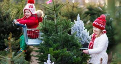 Прогноз погоды на 14 декабря - cxid.info - Луганск
