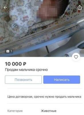 «Ребенок продан, купите торт»: 17-летняя девушка из Тосно выставила младенца на продажу, чтобы раскрутить свой бизнес - ivbg.ru - Украина - Санкт-Петербург - Ленобласть