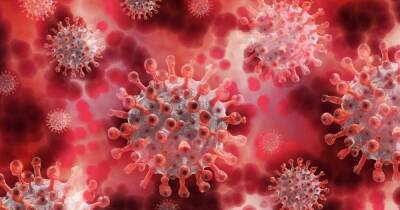 Джонс Хопкинс - Число случаев заражения коронавирусом в США превысило 50 миллионов - ren.tv - США - шт. Калифорния - шт. Аризона