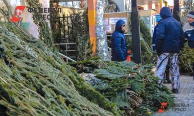 Во Владивостоке открылись елочные базары: адреса - fedpress.ru - Приморье край - Владивосток