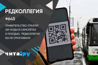 Андрей Козлов - Правительство откатит QR-коды в транспорте, «Редколлегия» бы не откатывала - chita.ru - Чита