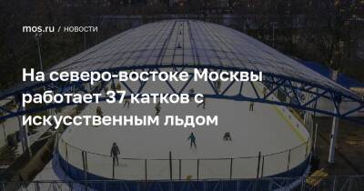 На северо-востоке Москвы работает 37 катков с искусственным льдом - mos.ru - Москва