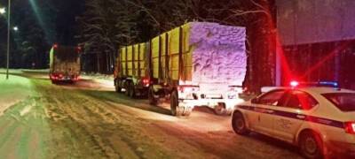 Лесовоз под управлением пьяного водителя был остановлен на оживленной трассе в Карелии (ФОТО) - stolicaonego.ru - Архангельская обл. - республика Карелия