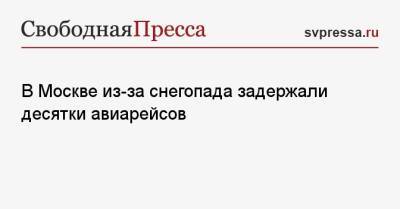 Евгений Тишковец - В Москве из-за снегопада задержали десятки авиарейсов - svpressa.ru - Москва