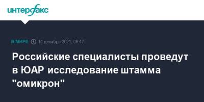 Российские специалисты проведут в ЮАР исследование штамма "омикрон" - interfax.ru - Москва - Россия - Юар