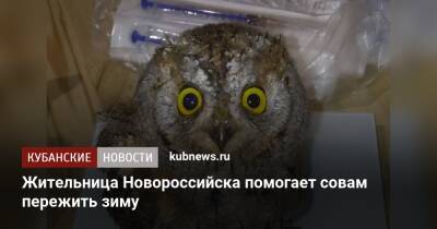 Жительница Новороссийска помогает совам пережить зиму - kubnews.ru - Новороссийск - Новороссийск