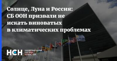 Василий Небензя - Солнце, Луна и Россия: СБ ООН призвали не искать виноватых в климатических проблемах - nsn.fm - Россия - Китай - Ирландия - Нигер