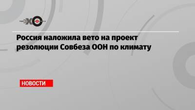 Василий Небензя - Линда Томас-Гринфилд - Россия наложила вето на проект резолюции Совбеза ООН по климату - echo.msk.ru - Россия - Китай - США - Индия - Ирландия