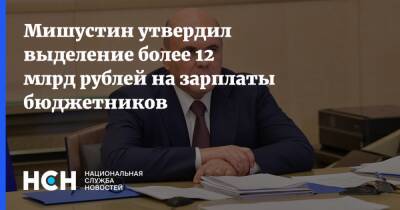 Михаил Мишустин - Мишустин утвердил выделение более 12 млрд рублей на зарплаты бюджетников - nsn.fm - Россия