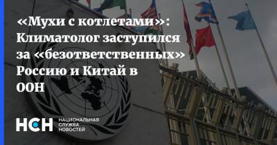 Алексей Кокорин - «Мухи с котлетами»: Климатолог заступился за «безответственных» Россию и Китай в ООН - nsn.fm - Россия - Китай