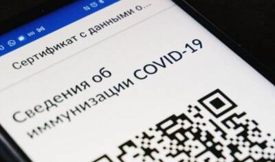 Дмитрий Хубезов - Комитет Госдумы поддержал законопроект о QR-кодах в общественных местах - newizv.ru