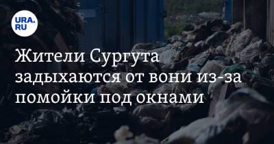 Жители Сургута задыхаются от вони из-за помойки под окнами. Видео - ura.news - Сургут - Югра