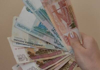 Михаил Мишустин - Правительство выделило свыше 12 млрд руб. на повышение зарплат бюджетников - ya62.ru - Россия