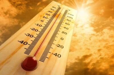 Температура 38 градусов, зафиксированная в Верхоянске, признана рекордной - aif.ru - Верхоянск
