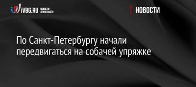 По Санкт-Петербургу начали передвигаться на собачей упряжке - ivbg.ru - Россия - Украина - Санкт-Петербург