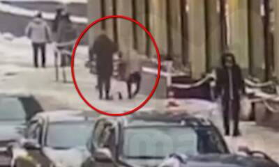 Упавшая сосулька проломила женщине череп в Петербурге - gubdaily.ru - Россия - Санкт-Петербург