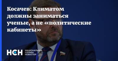 Константин Косачев - Линда Томас-Гринфилд - Косачев: Климатом должны заниматься ученые, а не «политические кабинеты» - nsn.fm - Россия - США - Ирландия - Нигер