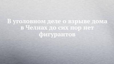 Андрей Шептицкий - В уголовном деле о взрыве дома в Челнах до сих пор нет фигурантов - chelny-izvest.ru - Россия - респ. Татарстан - Набережные Челны