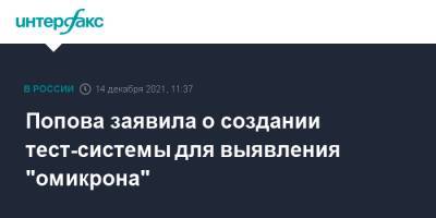 Анна Попова - Попова заявила о создании тест-системы для выявления "омикрона" - interfax.ru - Москва - Россия - Юар