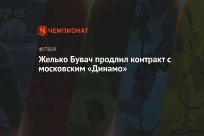 Желько Бувач - Желько Бувач продлил контракт с московским «Динамо» - championat.com - Москва