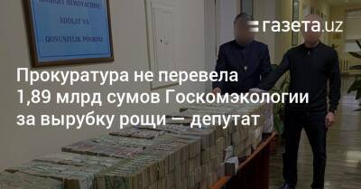 Прокуратура не перевела 1,89 млрд сумов Госкомэкологии за вырубку рощи — депутат - gazeta.uz - Узбекистан - Ташкент - район Яккасарайский