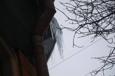 Дело о падении сосульки на Мойке на голову женщине стало уголовным - neva.today - Россия - Санкт-Петербург