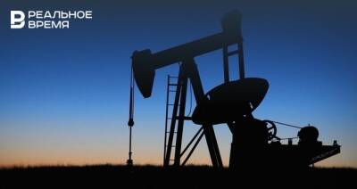 МЭА: в 2022 году мировая добыча нефти может увеличиться на 6,4 млн баррелей в сутки - realnoevremya.ru - США - Бразилия - Канада