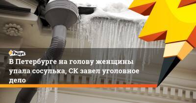 В Петербурге на голову женщины упала сосулька, СК завел уголовное дело - ridus.ru - Россия - Санкт-Петербург