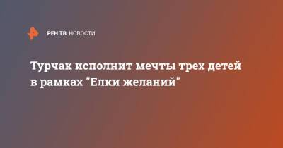 Анна Кузнецова - Андрей Турчак - Денис Проценко - Турчак исполнит мечты трех детей в рамках "Елки желаний" - ren.tv - Россия - Санкт-Петербург - респ. Татарстан - Псковская обл.