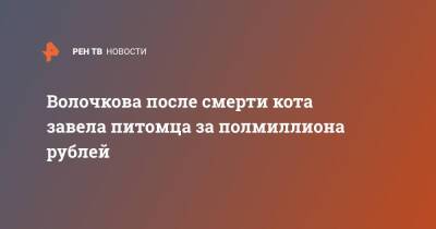 Анастасия Волочкова - Волочкова после смерти кота завела питомца за полмиллиона рублей - ren.tv - Россия