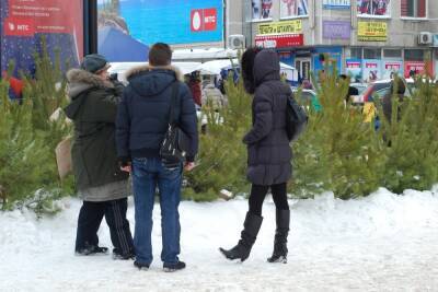 В Тамбове с 15 декабря откроют более 30 ёлочных базаров - tambov.mk.ru - Тамбов