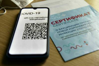 Татьяна Голикова - Сергей Миронов - ЛДПР и СРЗП оценили проект о QR-кодах в общественных местах - pnp.ru - Россия