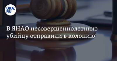 В ЯНАО несовершеннолетнюю убийцу отправили в колонию - ura.news - окр. Янао - район Тазовский