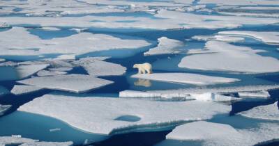 Новый температурный рекорд Арктики — 38⁰C, — метеорологи - dsnews.ua - Россия - Украина - Верхоянск - Арктика