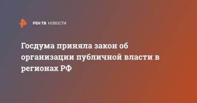 Госдума приняла закон об организации публичной власти в регионах РФ - ren.tv - Россия