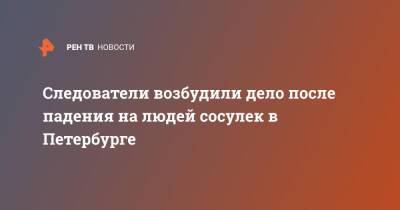 Следователи возбудили дело после падения на людей сосулек в Петербурге - ren.tv - Санкт-Петербург - Санкт-Петербург