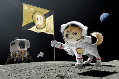 Илон Маск - Dogecoin подорожал после сообщения Илона Маска о начале продаж мерча Tesla за эту криптовалюту - itc.ua - Украина