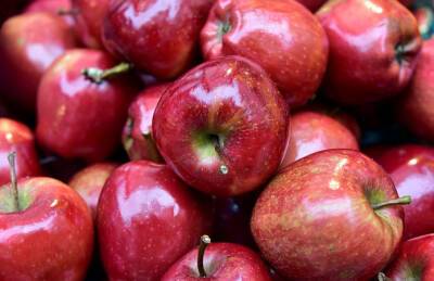 Экспорт яблока 1,5-2 раза выгоднее, чем продажа на внутреннем рынке - agroportal.ua - Украина