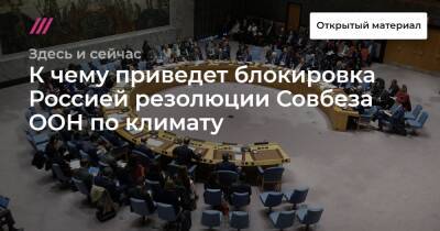 К чему приведет блокировка Россией резолюции Совбеза ООН по климату - tvrain.ru - Россия