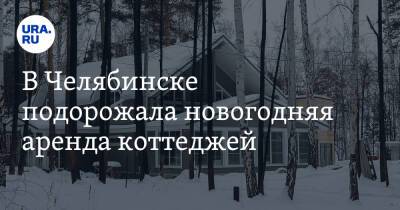 В Челябинске подорожала новогодняя аренда коттеджей - ura.news - Челябинск
