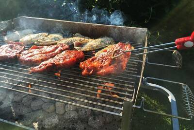 Шашлык и барбекю: почему учёные считают мясо, сделанное на углях, опасным для жизни - Русская семерка - russian7.ru - шт. Миннесота