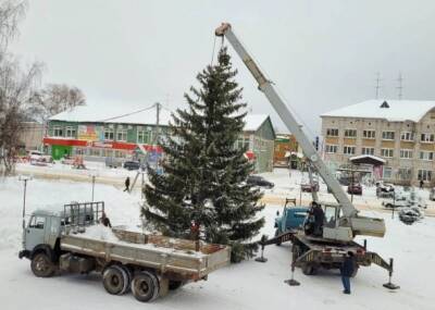 В Прилузье установили главную новогоднюю елку района - bnkomi.ru - район Прилузский