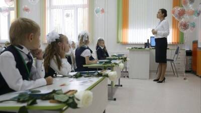 Российские педагоги с Нового года начнут получать государственную надбавку - 5-tv.ru