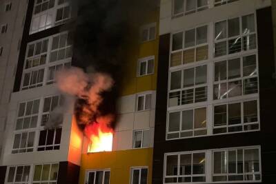 Пожарные эвакуировали 49 человек из-за горящей квартиры в 17-этажном доме в Новосибирске - novos.mk.ru - Новосибирск - Новосибирская обл.