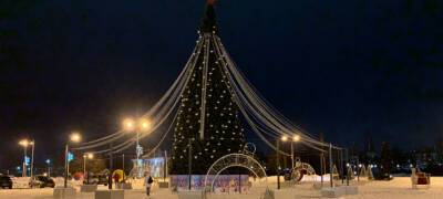 На центральной площади Петрозаводска установили елку (ФОТО) - stolicaonego.ru - Петрозаводск