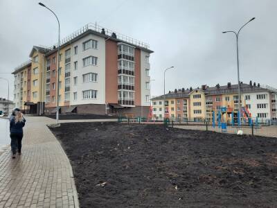 Дольщики ЖК «Новинки Smart City» написали стихотворение про ожидание достройки - vgoroden.ru - Нижний Новгород - city Smart - Нижний Новгород - Строительство