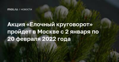 Петр Бирюков - Акция «Елочный круговорот» пройдет в Москве с 2 января по 20 февраля 2022 года - mos.ru - Москва