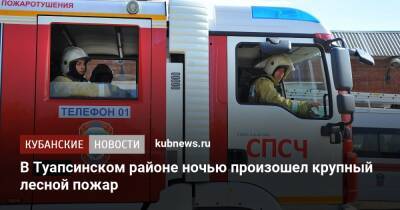 В Туапсинском районе ночью произошел крупный лесной пожар - kubnews.ru - Краснодарский край - район Туапсинский