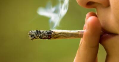 Первая страна Европы легализовала немедицинскую марихуану для личного пользования и выращивания - focus.ua - Украина - Мальта